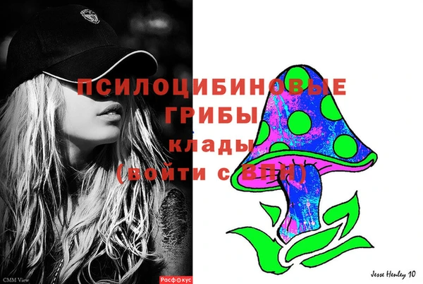 гашик Заводоуковск